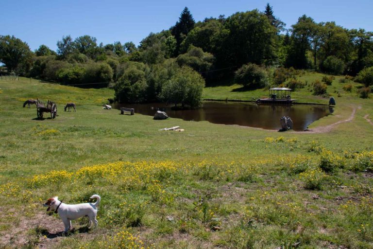 Petit étang