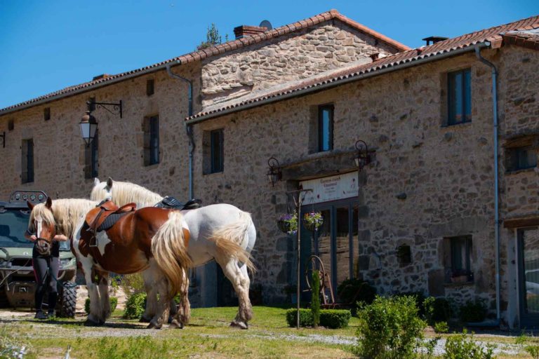 Cheval devant la ferme