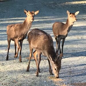 37a8f625-112f-4c56-95a4-fb757731de42