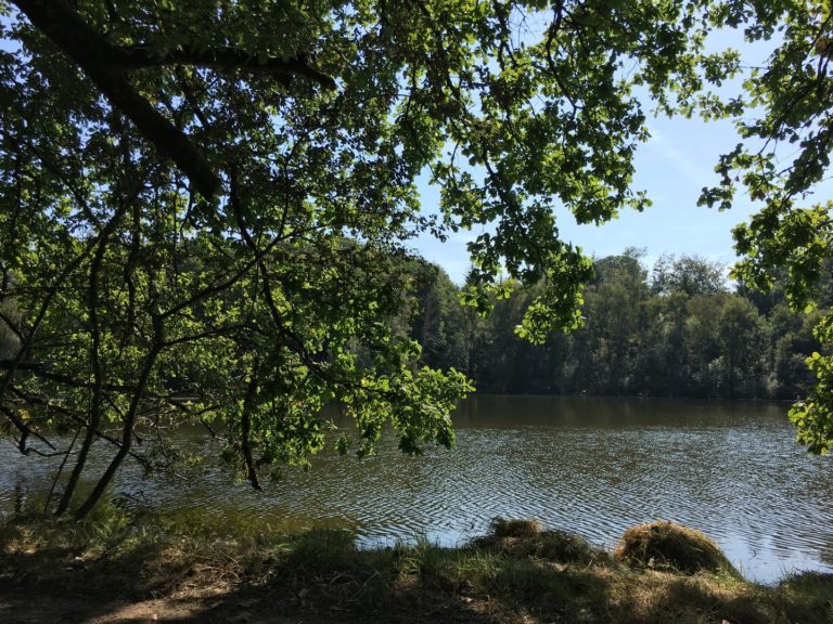Etang