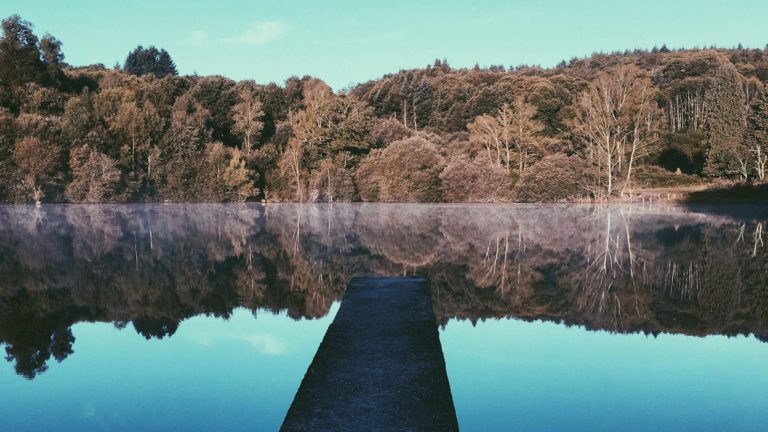 banner_lejardin_carp_fishing_lake