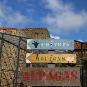 directions_moutons_panneau
