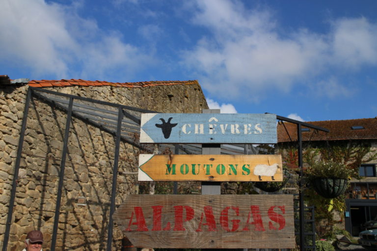 directions_moutons_panneau