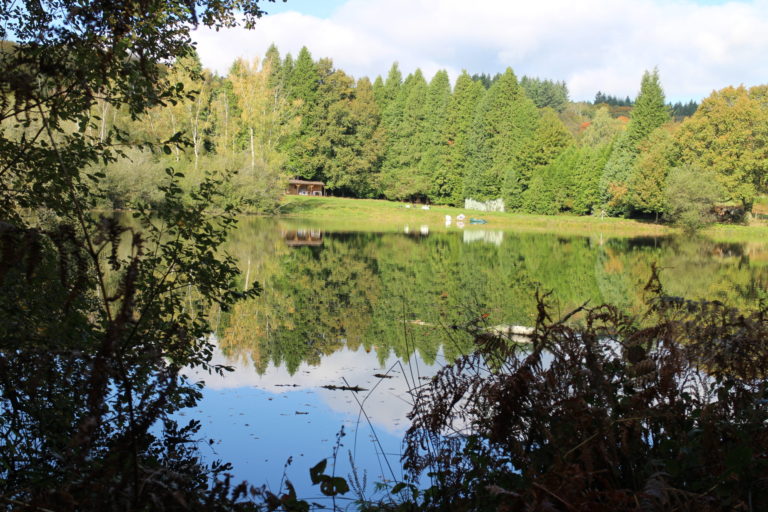 Grand étang - cabane